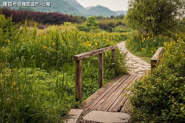 北京什刹海六人游国际旅行社怎么样？北京什刹海包车一日游多少钱人民币