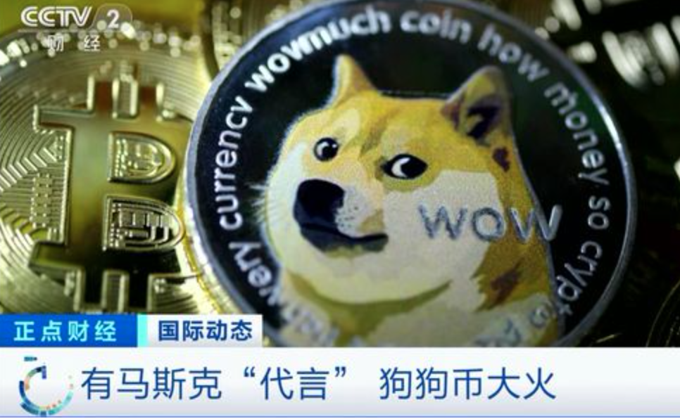狗币(狗币最新行情分析)
