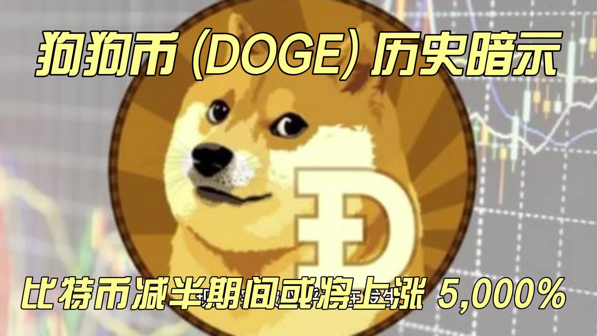 狗狗币(狗狗币为什么涨不上去)